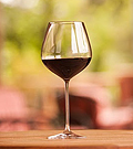Wine Tastings at the Grand Del Mar are a "must".