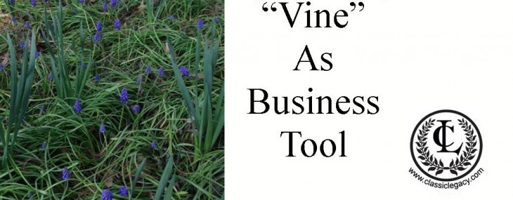 Learning How to Use Vine for Business