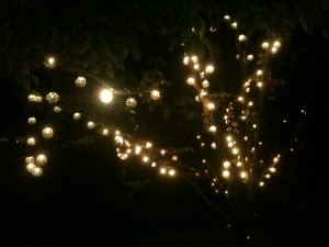 Lights on my Tree-My Birthday Gift
