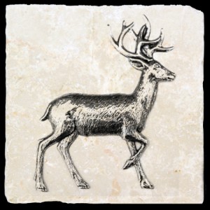 Marble Coaster with Deer image by Classic Legacy