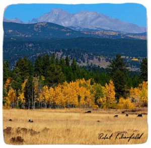 Colorado Gifts Classic Legacy Marble Coaster with Longs Peak Colorado Photo