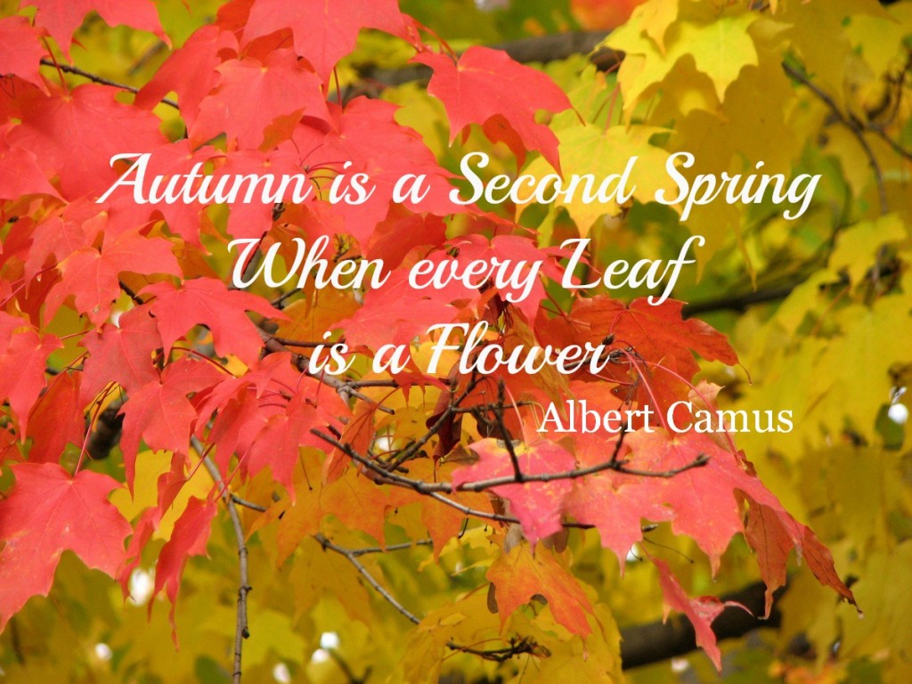 Autumn is Second Spring quote