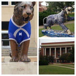 University of Memphis Admin Building & Tigers