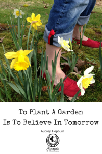 To Plant a Garden is to Believe in Tomorrow ! 