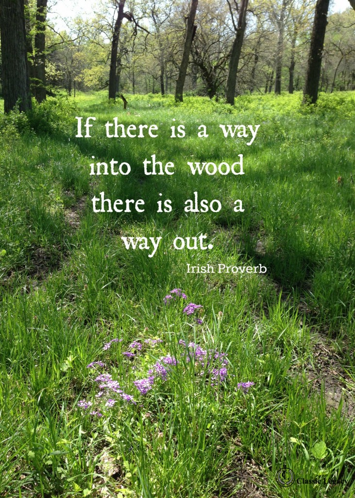 Irish Quotes If there is a Way into the wood there is also a out of wood