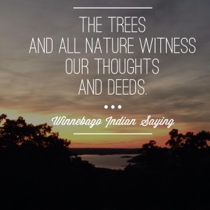 The Trees Witness Quote